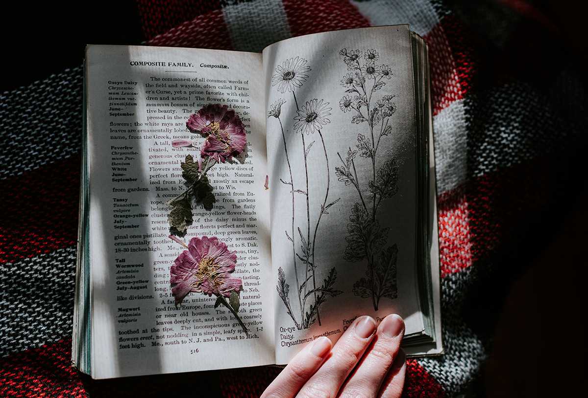Photo book with flowers pressed inside